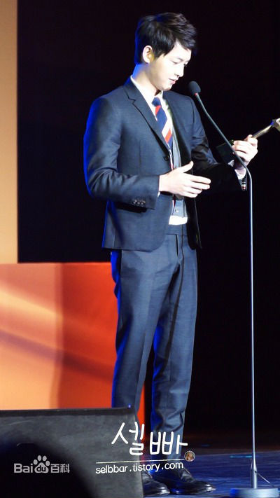 宋仲基(Song Joong Ki)大韩民国文化演艺大奖(2012)图册