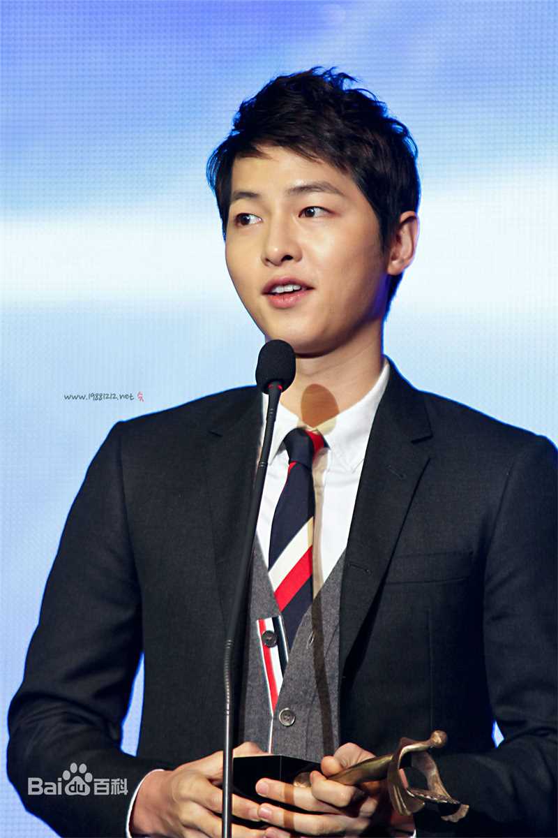 宋仲基(Song Joong Ki)大韩民国文化演艺大奖(2012)图册