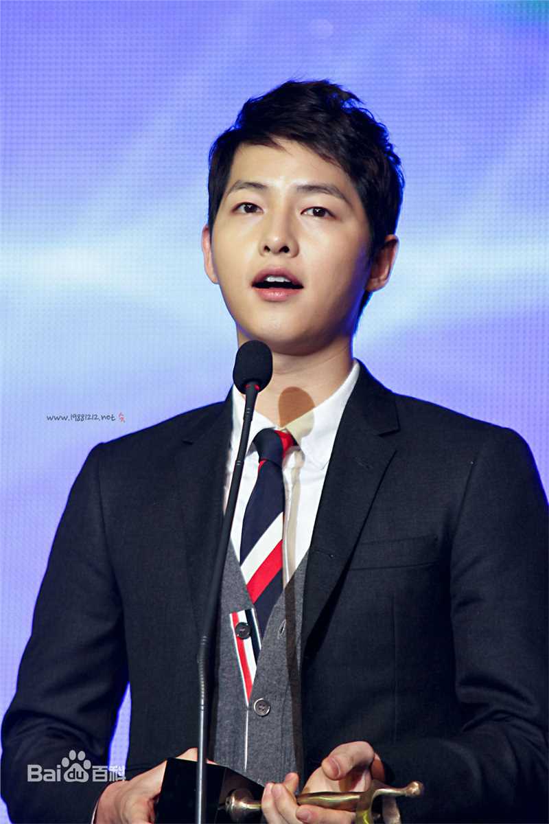 宋仲基(Song Joong Ki)大韩民国文化演艺大奖(2012)图册