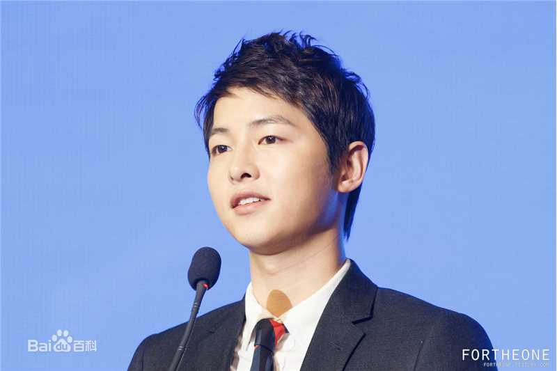 宋仲基(Song Joong Ki)大韩民国文化演艺大奖(2012)图册