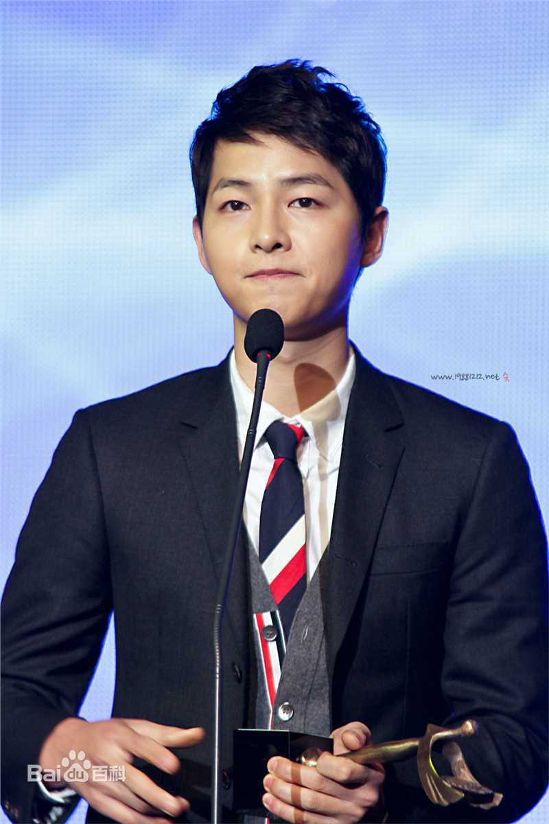 宋仲基(Song Joong Ki)大韩民国文化演艺大奖(2012)图册
