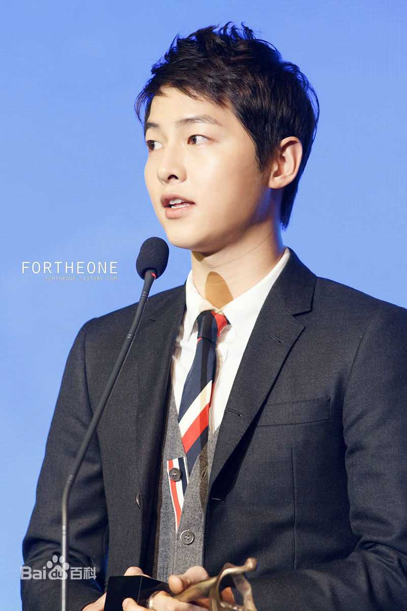 宋仲基(Song Joong Ki)大韩民国文化演艺大奖(2012)图册