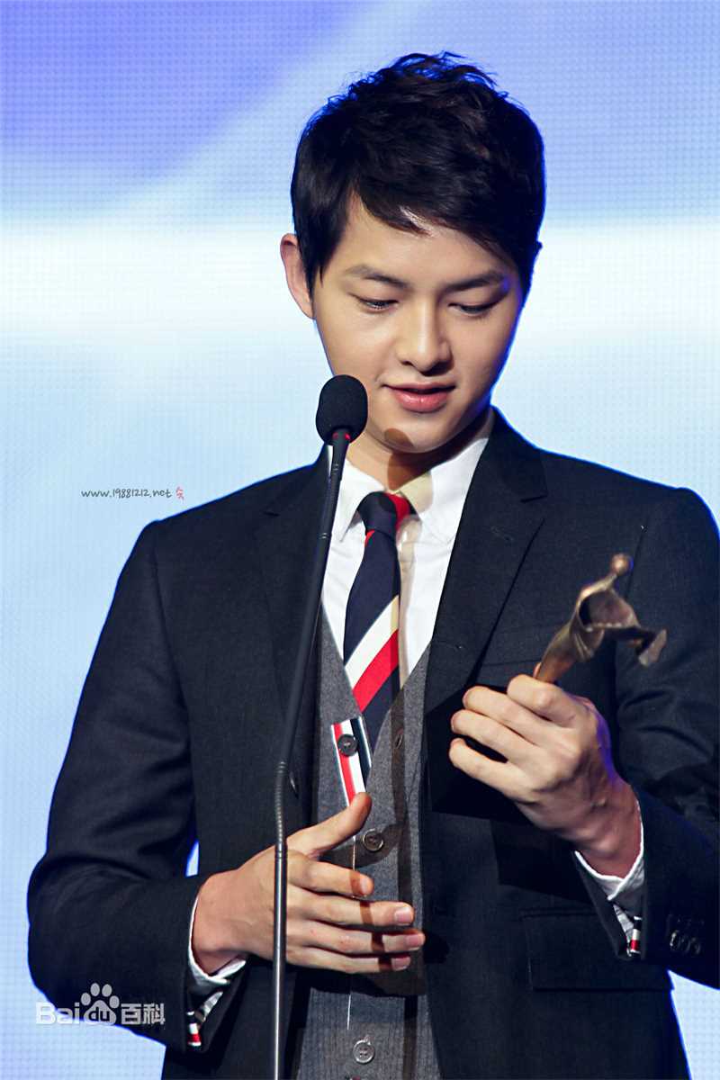 宋仲基(Song Joong Ki)大韩民国文化演艺大奖(2012)图册