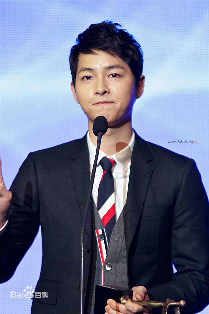 宋仲基(Song Joong Ki)大韩民国文化演艺大奖(2012)图册