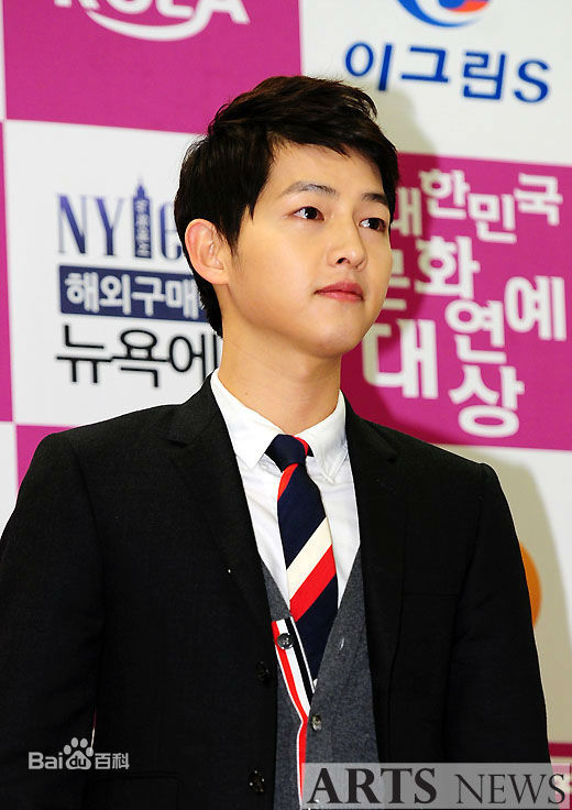 宋仲基(Song Joong Ki)大韩民国文化演艺大奖(2012)图册
