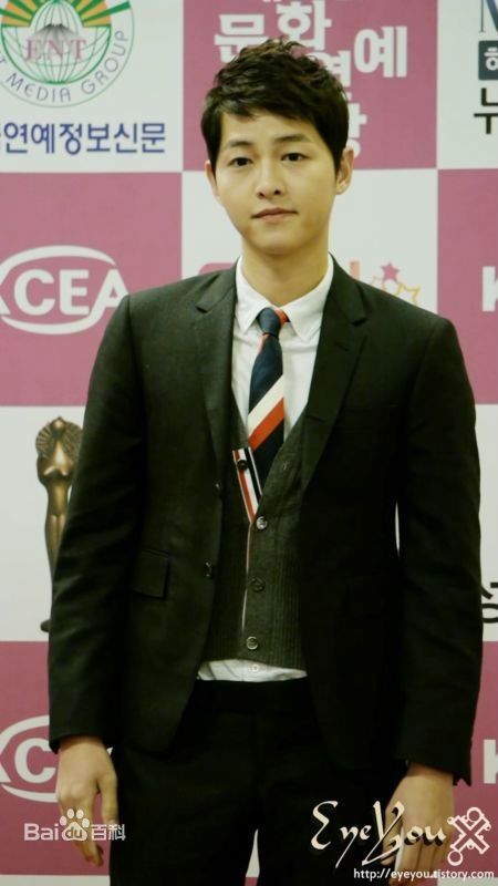 宋仲基(Song Joong Ki)大韩民国文化演艺大奖(2012)图册