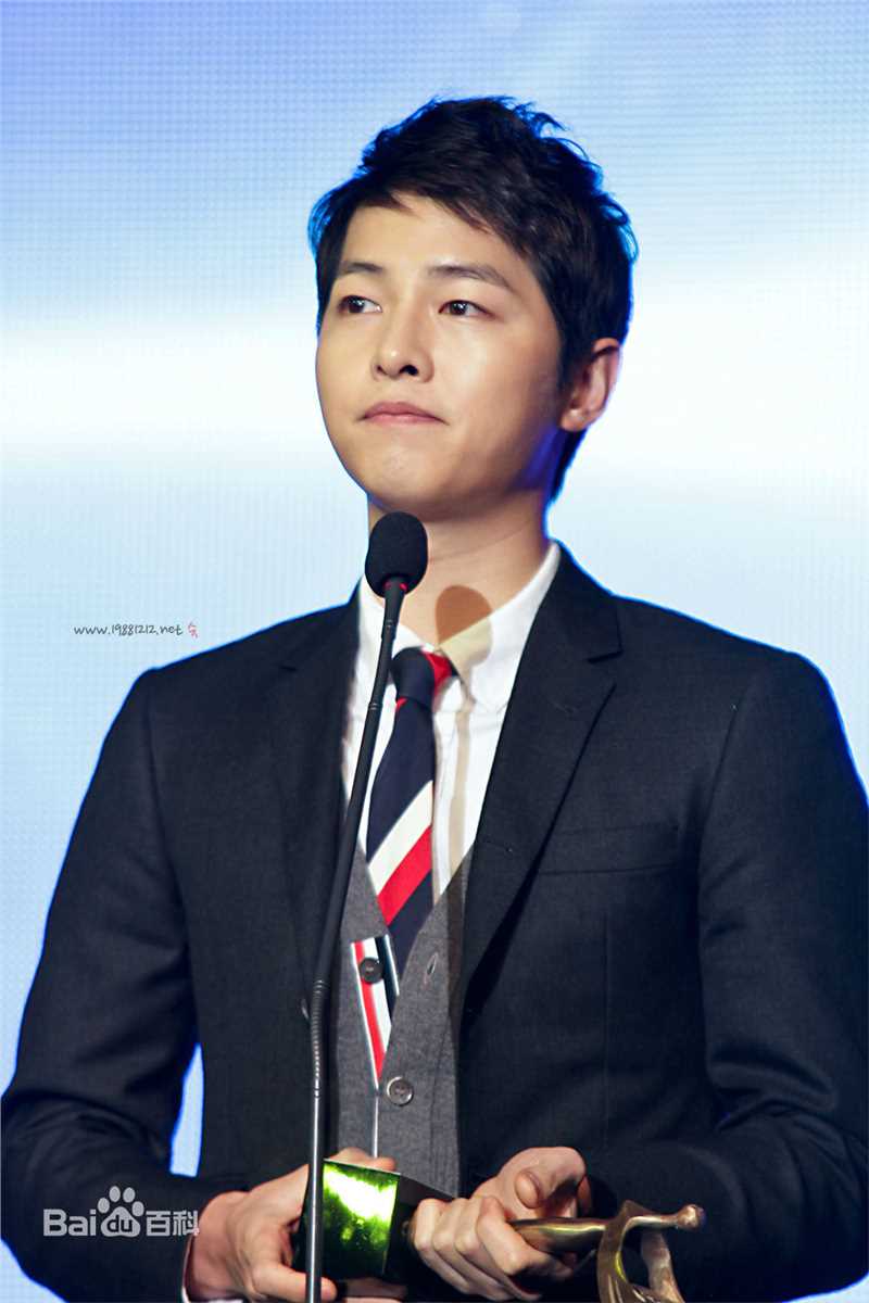 宋仲基(Song Joong Ki)大韩民国文化演艺大奖(2012)图册