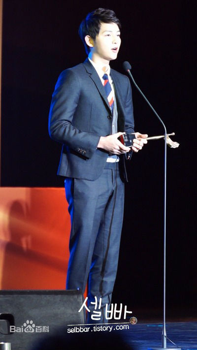 宋仲基(Song Joong Ki)大韩民国文化演艺大奖(2012)图册