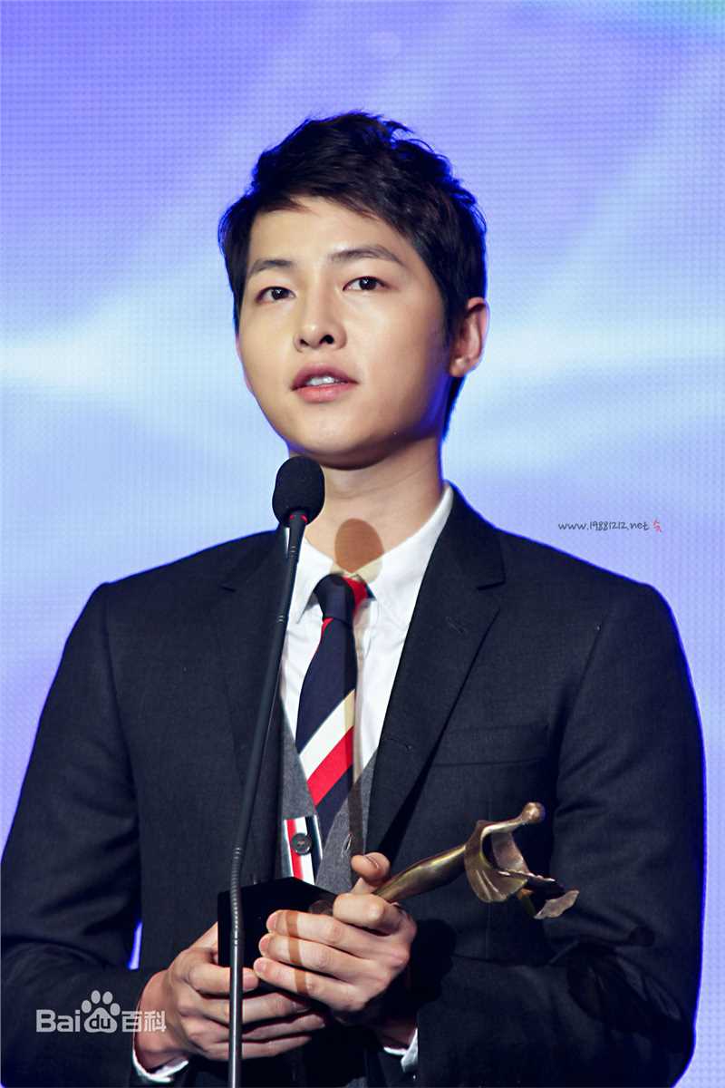宋仲基(Song Joong Ki)大韩民国文化演艺大奖(2012)图册