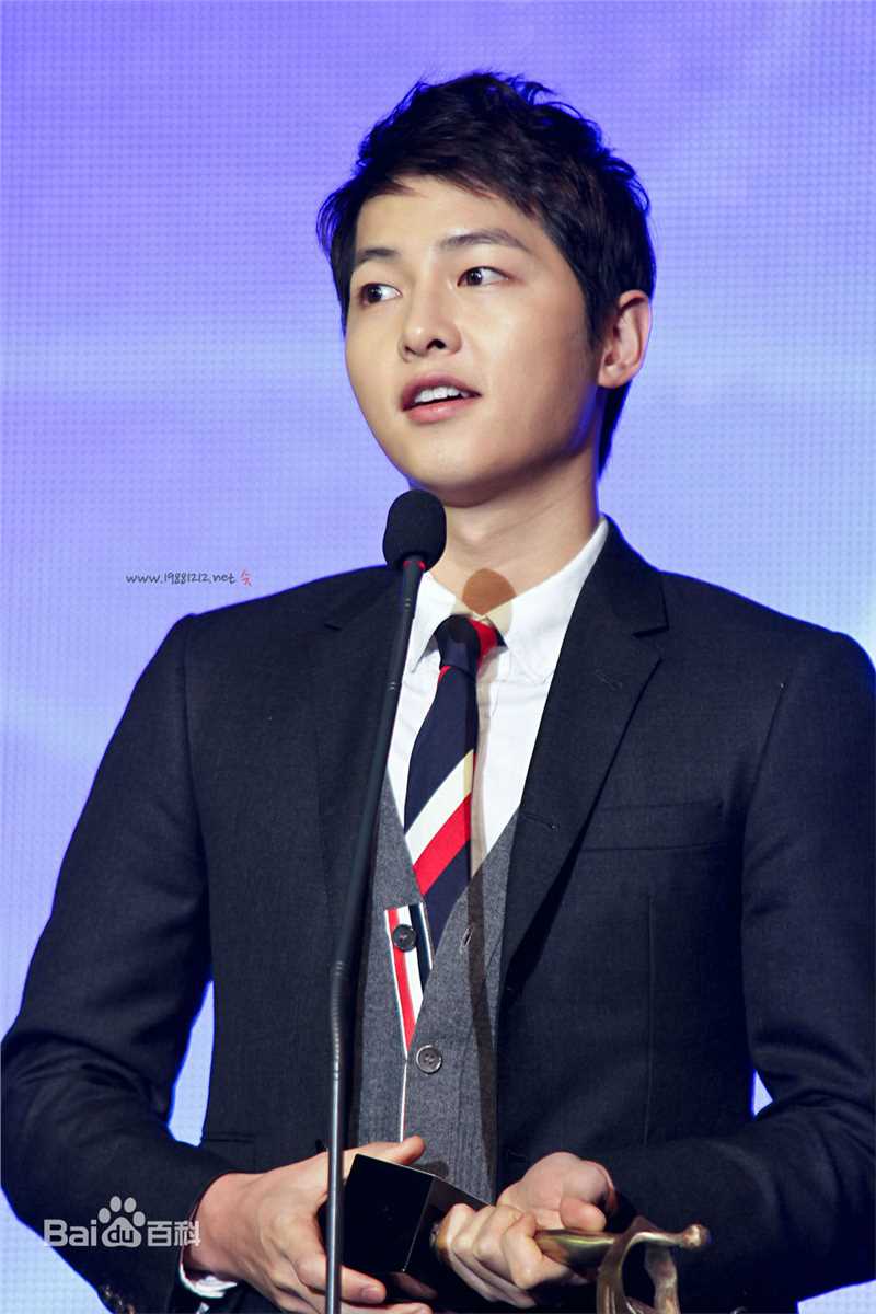 宋仲基(Song Joong Ki)大韩民国文化演艺大奖(2012)图册