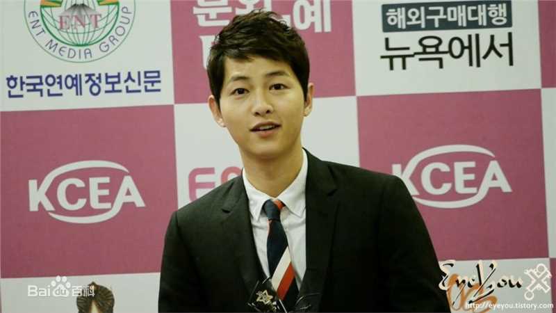 宋仲基(Song Joong Ki)大韩民国文化演艺大奖(2012)图册