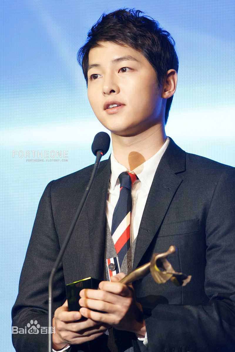 宋仲基(Song Joong Ki)大韩民国文化演艺大奖(2012)图册