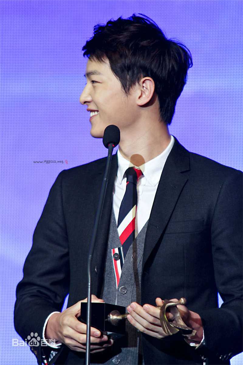 宋仲基(Song Joong Ki)大韩民国文化演艺大奖(2012)图册