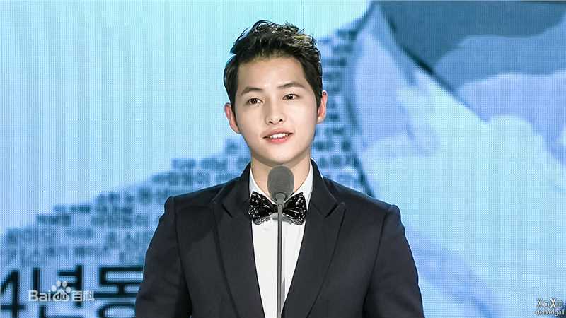 宋仲基(Song Joong Ki)Style Icon Awards（2012）性感图片图集