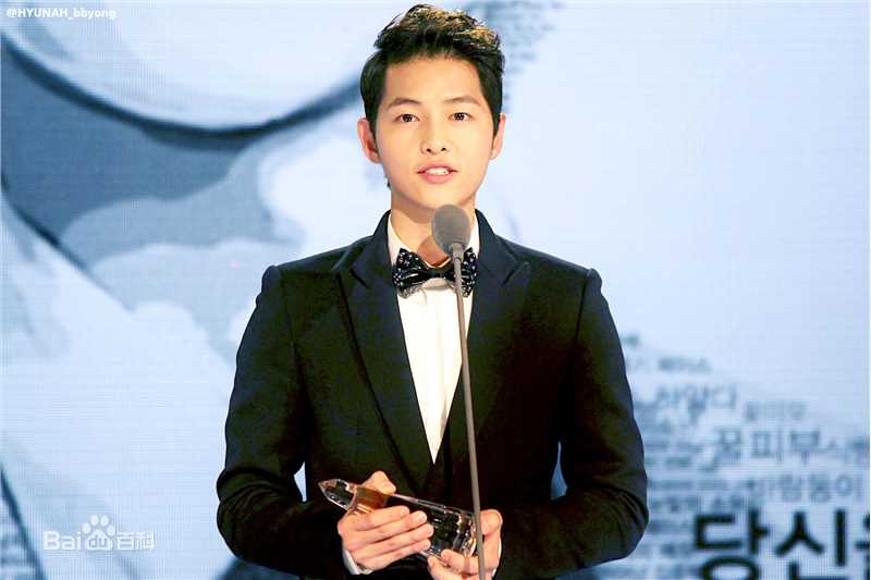 宋仲基(Song Joong Ki)Style Icon Awards（2012）性感图片图集