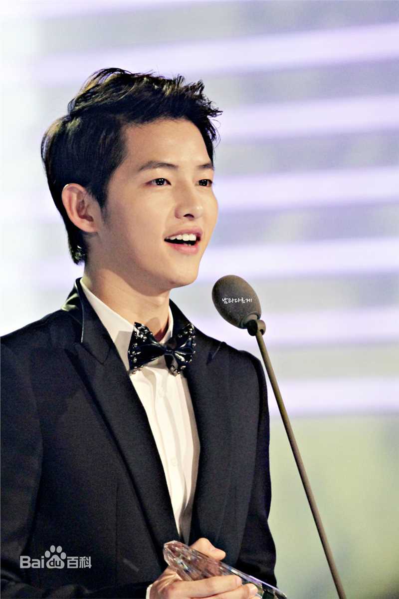 宋仲基(Song Joong Ki)Style Icon Awards（2012）性感图片图集