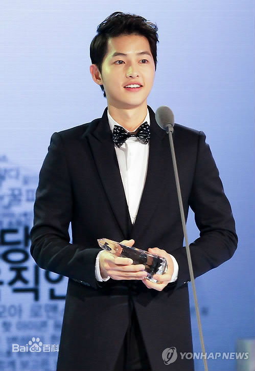 宋仲基(Song Joong Ki)Style Icon Awards（2012）性感图片图集