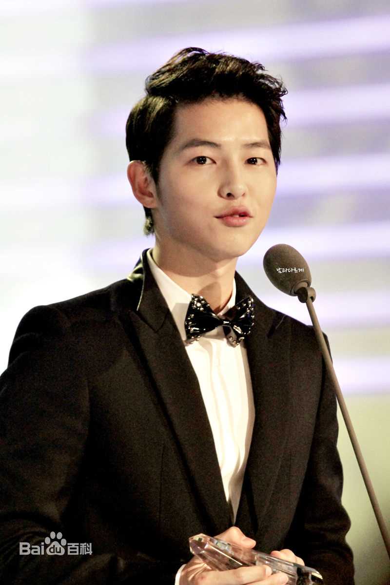 宋仲基(Song Joong Ki)Style Icon Awards（2012）性感图片图集