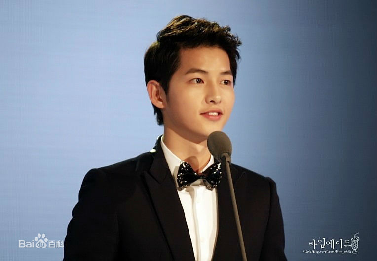 宋仲基(Song Joong Ki)Style Icon Awards（2012）性感图片图集