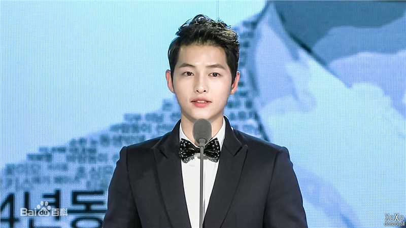 宋仲基(Song Joong Ki)Style Icon Awards（2012）性感图片图集