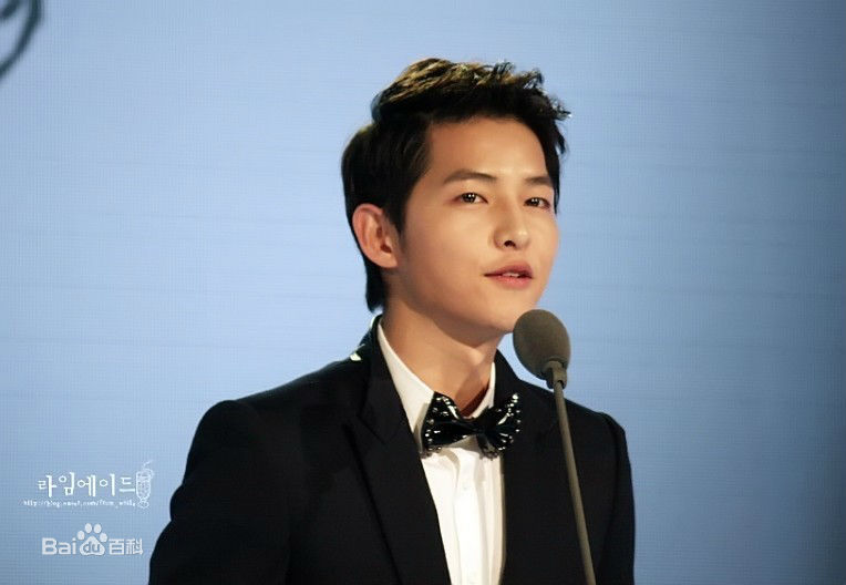 宋仲基(Song Joong Ki)Style Icon Awards（2012）性感图片图集