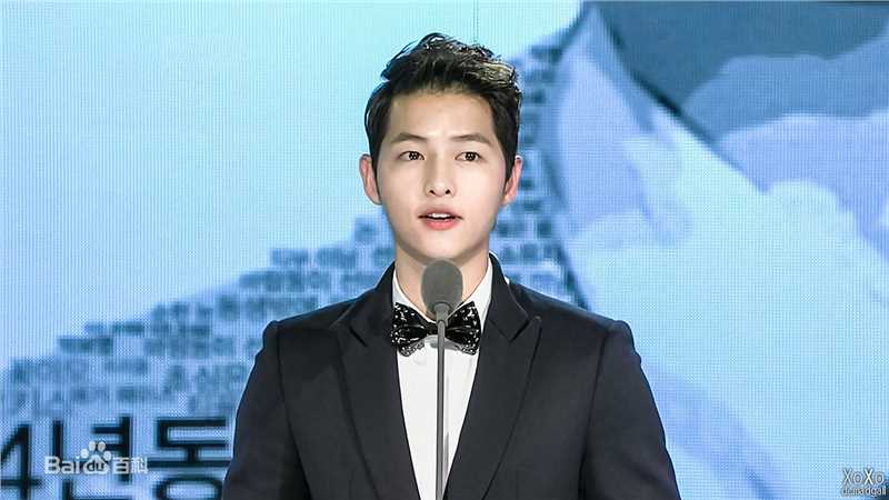 宋仲基(Song Joong Ki)Style Icon Awards（2012）性感图片图集