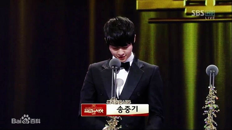 宋仲基(Song Joong Ki)S演技大赏（2011）性感图片壁纸