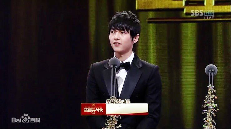 宋仲基(Song Joong Ki)S演技大赏（2011）性感图片壁纸