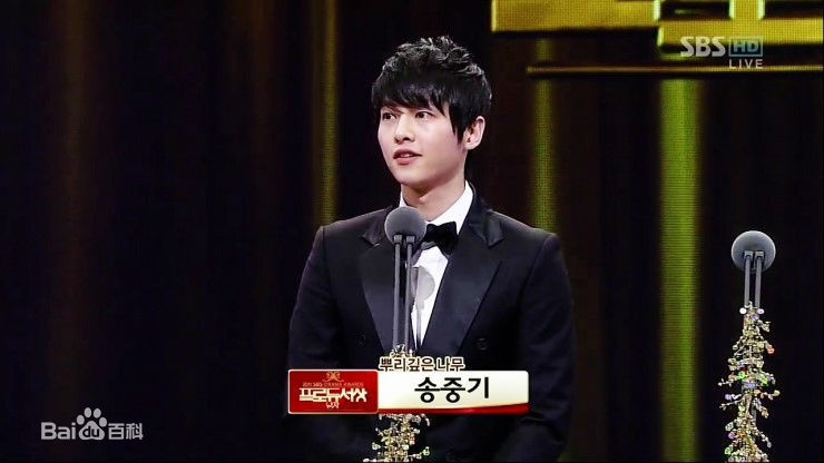 宋仲基(Song Joong Ki)S演技大赏（2011）性感图片壁纸