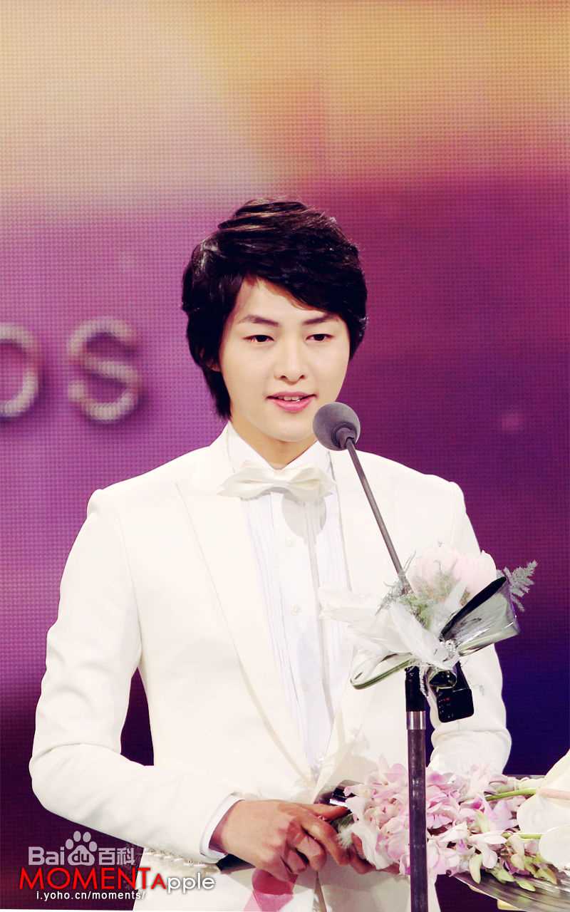 宋仲基(Song Joong Ki)KBS演技大赏(2010)壁纸壁纸