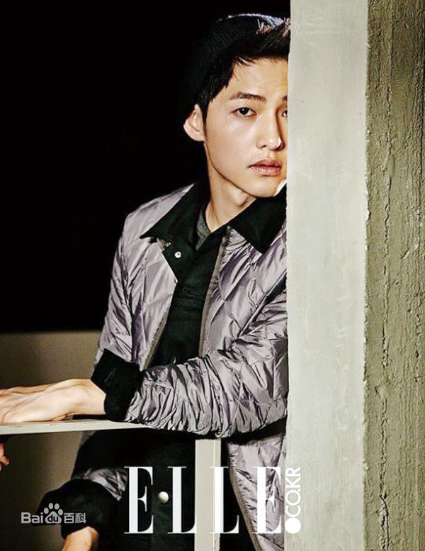 宋仲基(Song Joong Ki)最优质《ELLE》相册