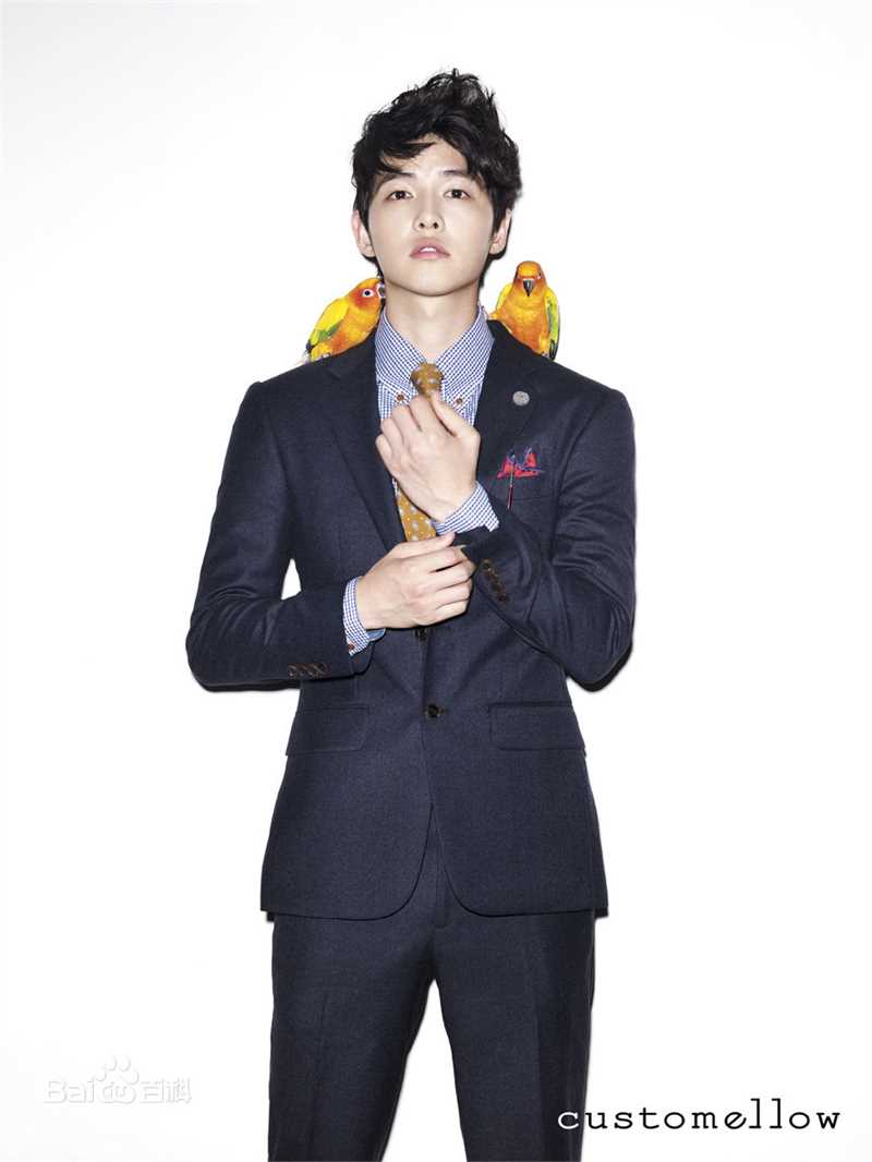 高清宋仲基(Song Joong Ki)精彩图册