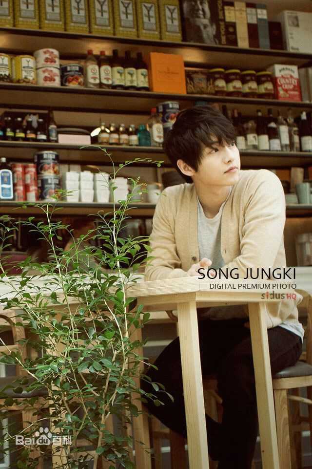 最全宋仲基(Song Joong Ki)精彩图册