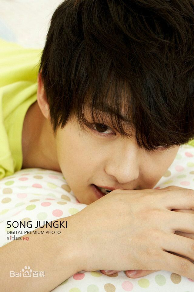 高清宋仲基(Song Joong Ki)精彩图册