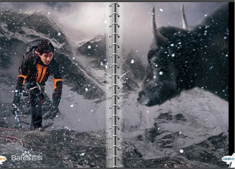 赵寅成(Zo In Sung)精彩图册