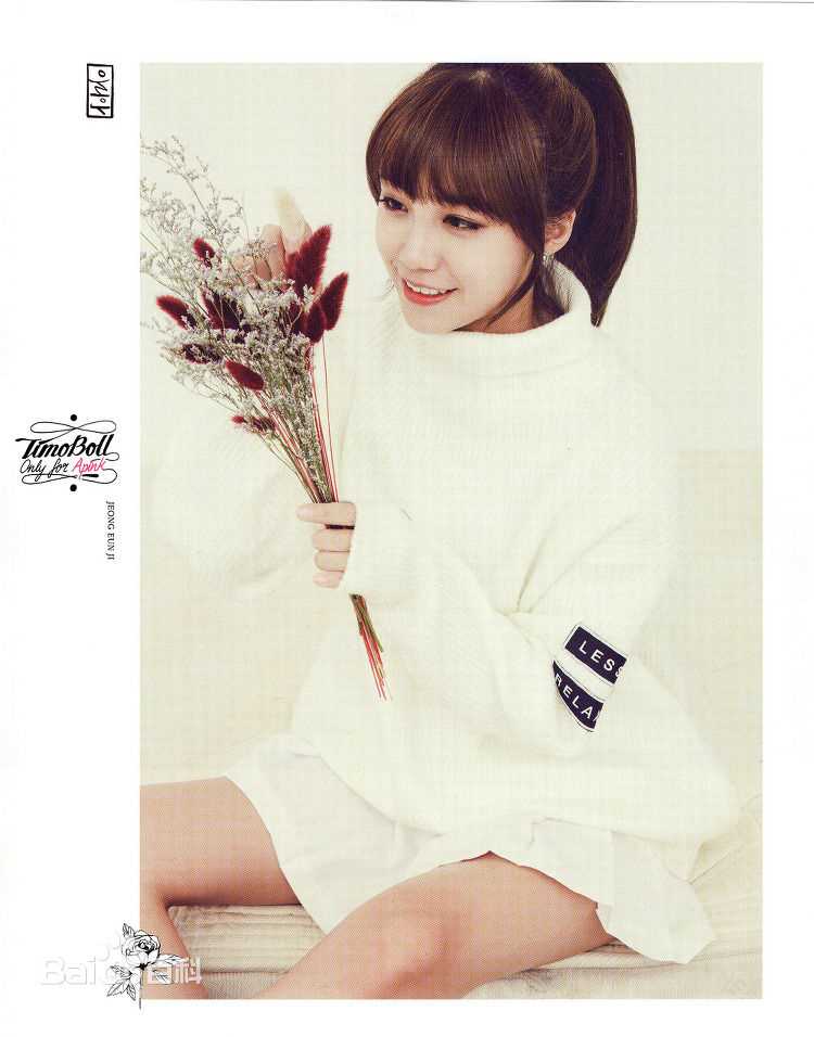 郑恩地(Jung Eun Ji)精选作品图册