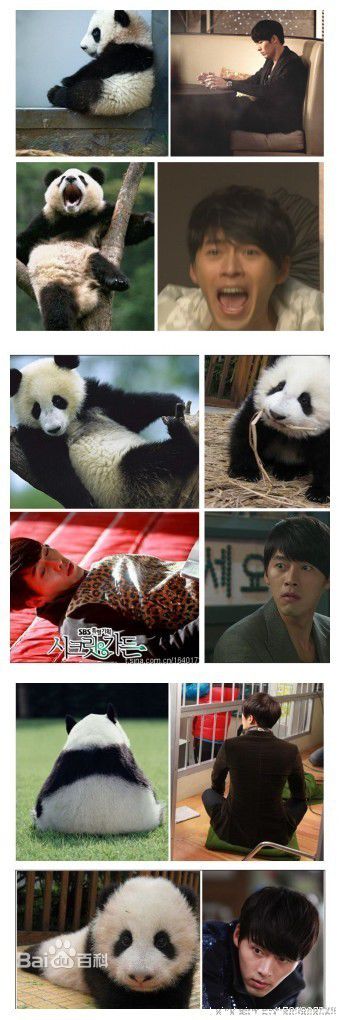 玄彬(Hyun Bin、ヒョンビン)精彩图册