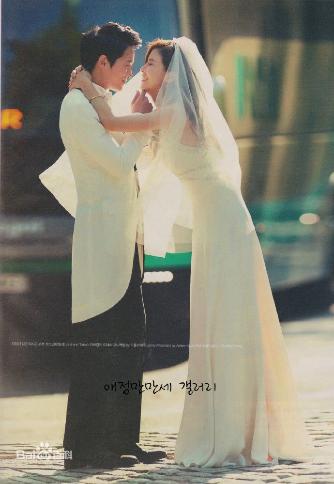 池晟(Ji Sung)李宝英婚纱照性感图片壁纸