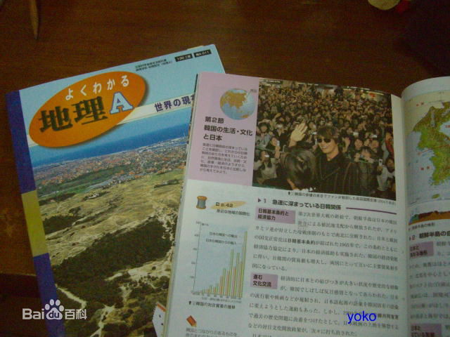 裴勇浚(Bae Yong Joon，)个人荣誉图片壁纸壁纸