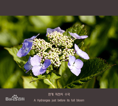 裴勇浚(Bae Yong Joon，)摄影作品性感图片壁纸