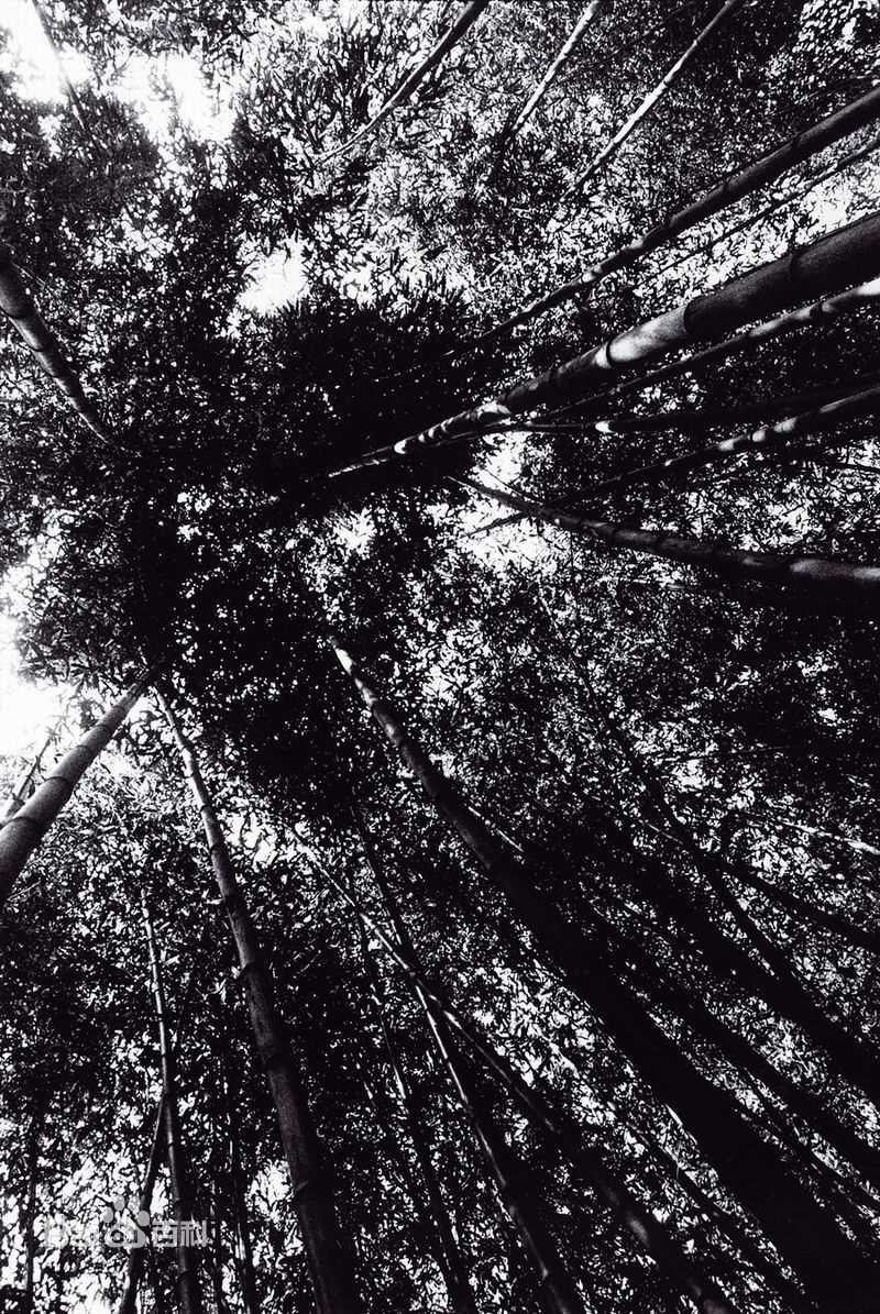 裴勇浚(Bae Yong Joon，)摄影作品性感图片壁纸