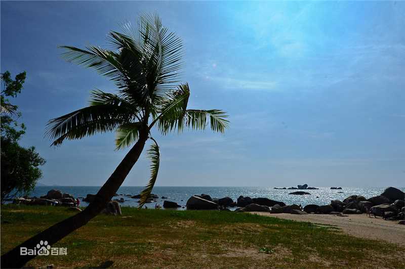 精选裴勇浚(Bae Yong Joon，)