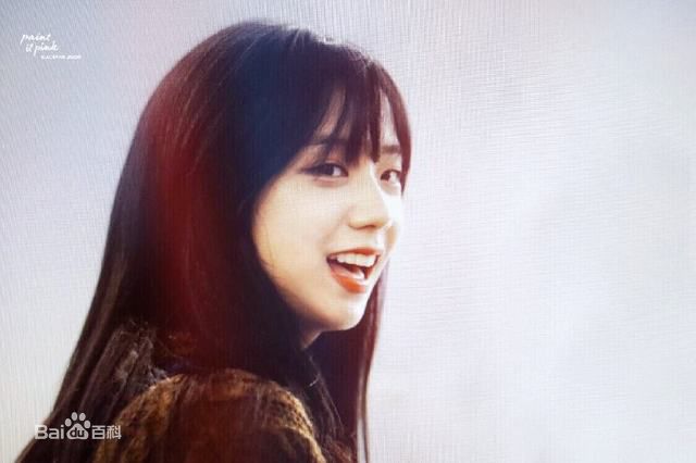 金智秀(kim Ji Soo)0103壁纸壁纸