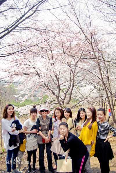 高清张美姬( /Mi-hie Jang)图片