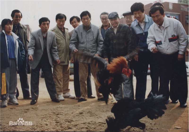 金仁文() 相关作品最新剧照