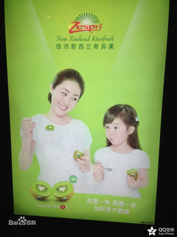 赵淼广告壁纸壁纸