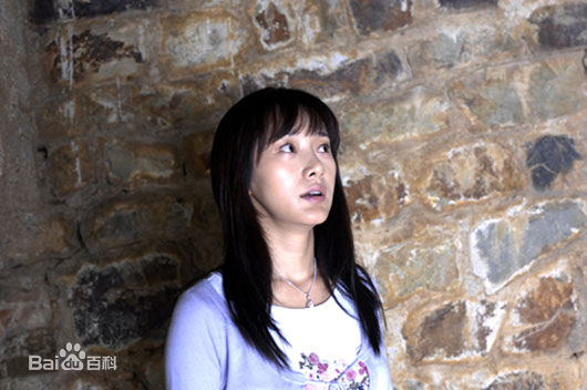 陶飞霏参演电视剧作品（2003-2011）图片图集