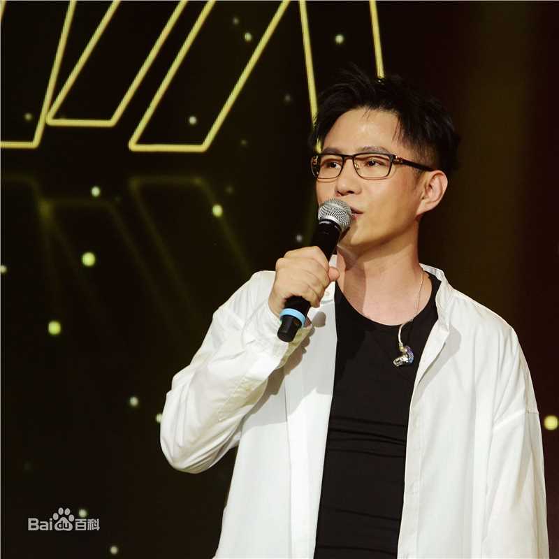 石头(Stone)乐队 音乐节演出现场图册