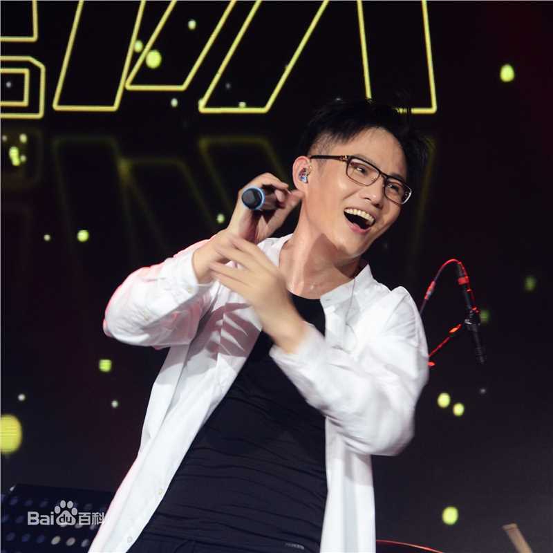 石头(Stone)乐队 音乐节演出现场图册