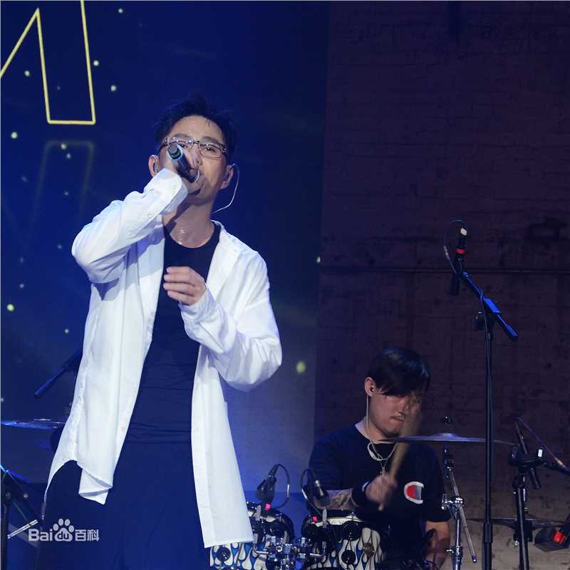 石头(Stone)乐队 音乐节演出现场图册